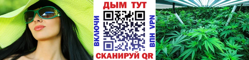 Конопля SATIVA & INDICA где найти наркотики Каневская